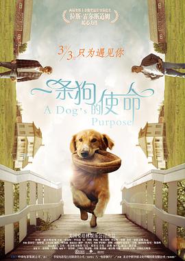 DVD无删减90分钟观看