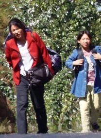 杜比视界